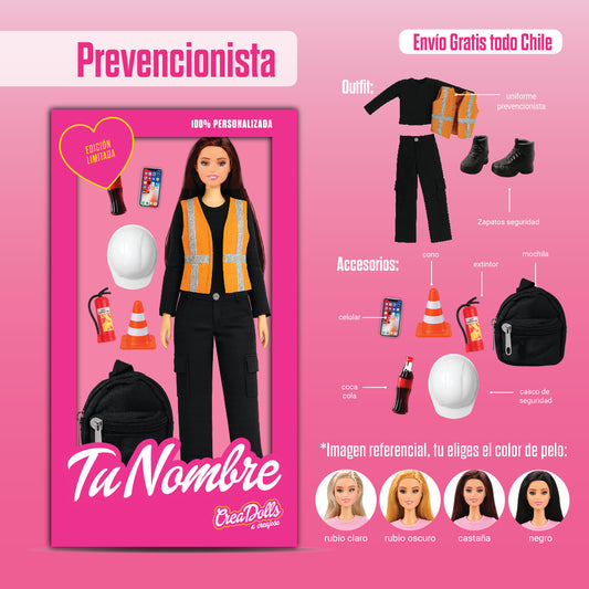 Prevencionista de riesgo